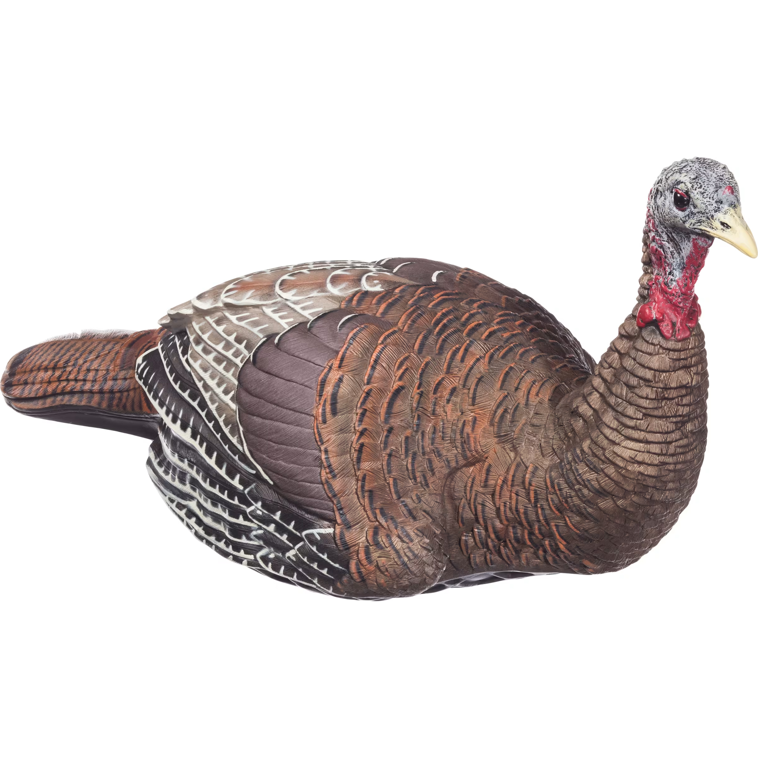 AvianX LCD Laydown Hen Turkey Decoy Bass Pro Shops